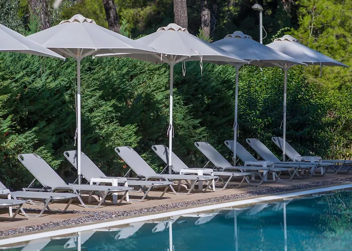 Hotel Club Agia Anna 4*